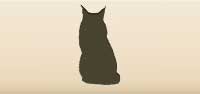 Cat silhouette