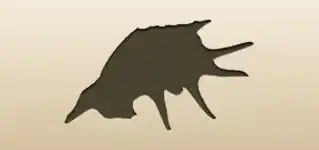 Shell