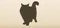 ネコ