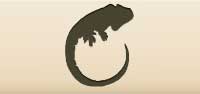 Iguana silhouette