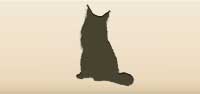 Cat silhouette