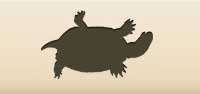Turtle silhouette