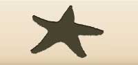 Starfish silhouette