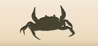 Crab silhouette