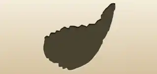 クジャクの羽のシルエット