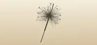 線香花火のシルエット