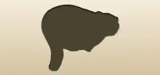 マヌルネコのシルエット