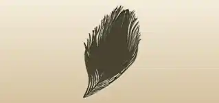 クジャクの羽のシルエット