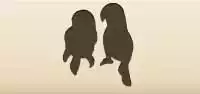 ラブバード