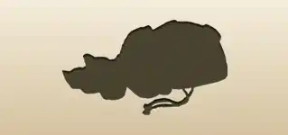 金の馬蹄銀のシルエット