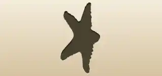 ヒトデのシルエット