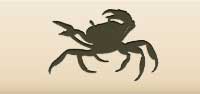 Crab silhouette