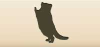 Pallas's Cat silhouette