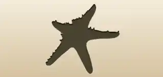 ヒトデのシルエット