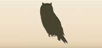 Owl silhouette