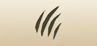 爪痕のシルエット