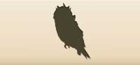 Owl silhouette