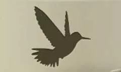 Hummingbird silhouette