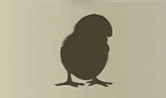 Chick silhouette