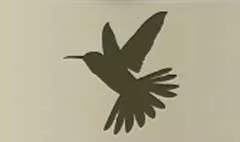 Hummingbird silhouette