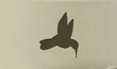 Hummingbird silhouette