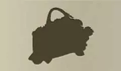 Strawberry silhouette