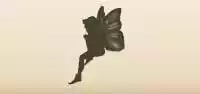 Fairy silhouette