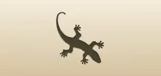 Lizard silhouette