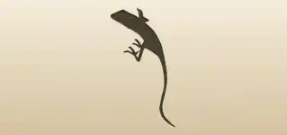 Lizard silhouette