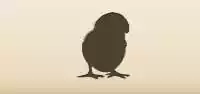 Chick silhouette