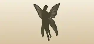 Fairy silhouette