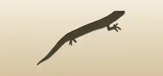 Lizard silhouette