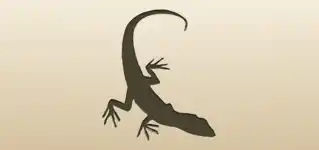 Lizard silhouette