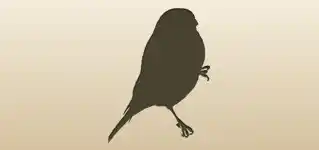 冬鳥