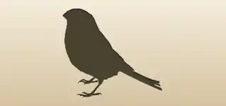 冬鳥