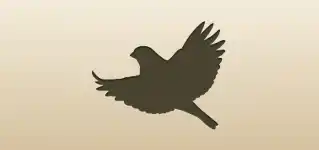 冬鳥