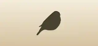 冬鳥