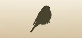 冬鳥