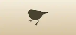 冬鳥