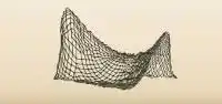 Net