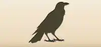 Crow