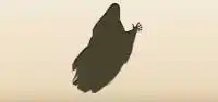 Ghost silhouette