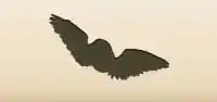 Crow