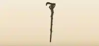 Walking Stick