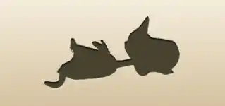 ハエトリソウ