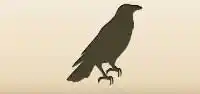 Crow