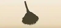 Feather Duster