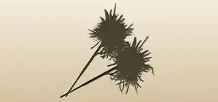 Sparklers silhouette