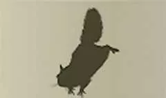 ムササビ