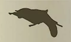 ムササビ